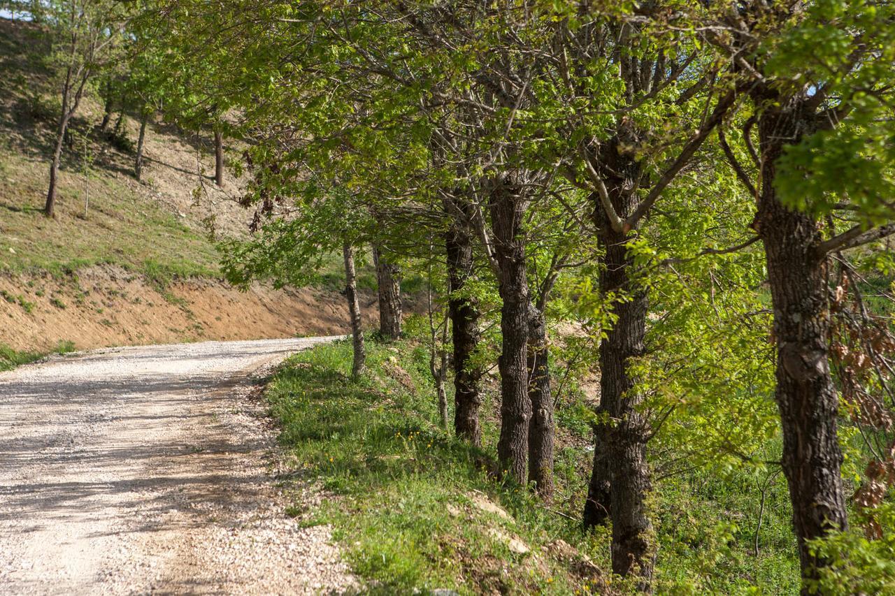Casale Virginia ξενώνας Cesariano Εξωτερικό φωτογραφία
